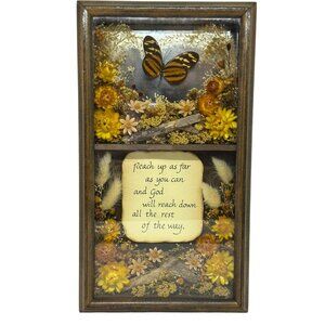 VTG Pressed Dried Flowers Butterfly Shadow Box Rustic Floral Wall Art with Quote
